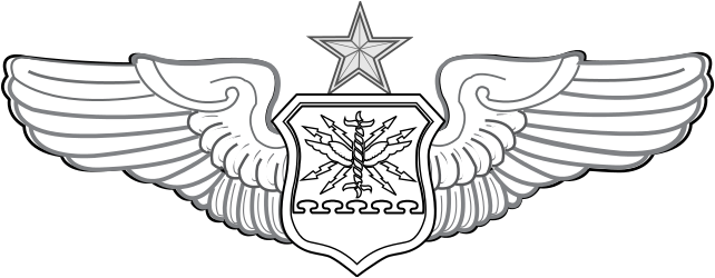 Air Force Combat Systems Officer badge